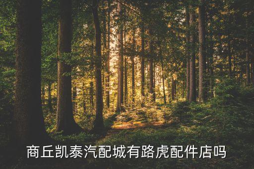 商丘凯泰汽配城有路虎配件店吗