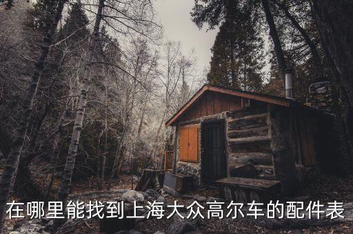 上海大众汽配查询系统，在哪里能找到上海大众高尔车的配件表