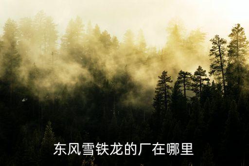 东风雪铁龙的厂在哪里