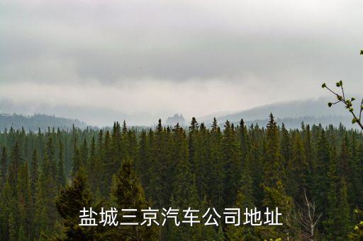 盐城三京汽车公司地址
