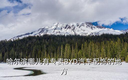 哈尔滨哪儿有专卖BYD汽车配饰的地方