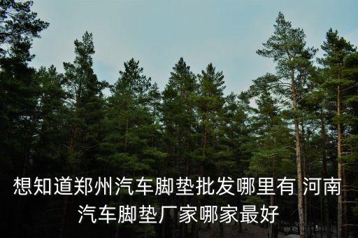 清溪汽配城脚垫厂家地址，想知道郑州汽车脚垫批发哪里有 河南汽车脚垫厂家哪家最好