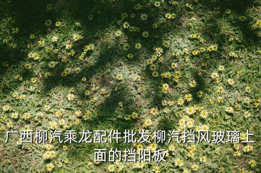 广西柳汽乘龙配件批发柳汽挡风玻璃上面的挡阳板