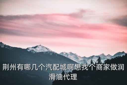 荆州有哪几个汽配城啊想找个商家做润滑油代理
