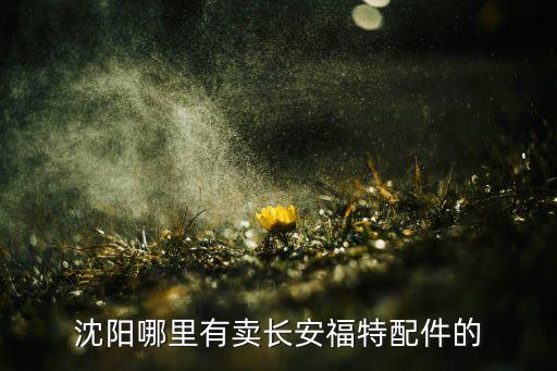 沈阳哪里有卖长安福特配件的