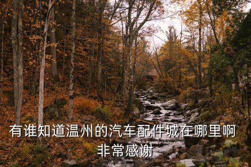 有谁知道温州的汽车配件城在哪里啊 非常感谢