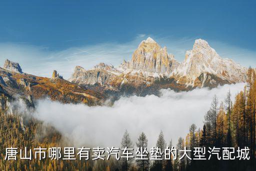 唐山市哪里有卖汽车坐垫的大型汽配城