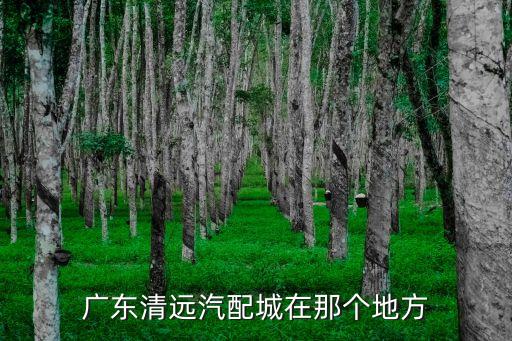 广东清远汽配城在那个地方