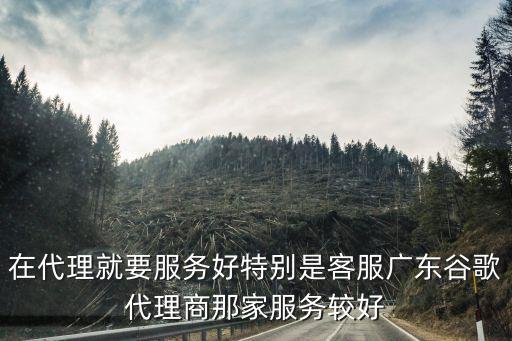 在代理就要服务好特别是客服广东谷歌代理商那家服务较好