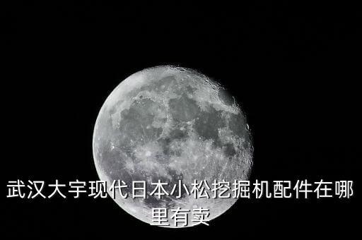 武汉大宇现代日本小松挖掘机配件在哪里有卖
