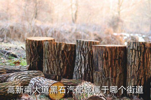 南昌黑石汽配灯具店地址，高新南大道黑石汽配城属于哪个街道