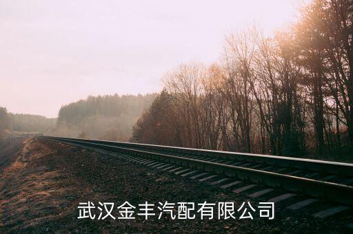 武汉金丰汽配有限公司