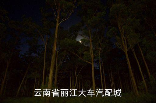 云南省丽江大车汽配城