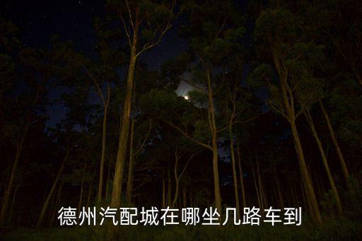 德城区汽配城地址，德州汽配城在哪坐几路车到