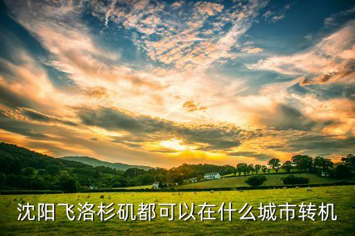沈阳飞洛杉矶都可以在什么城市转机