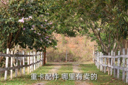 重卡配件 哪里有卖的