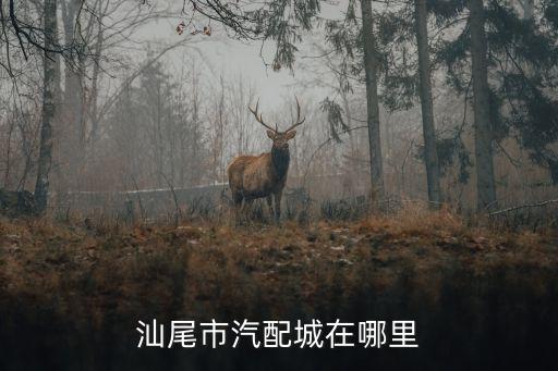汕尾市汽配城在哪里