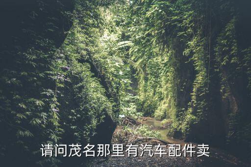 安龙鸿运汽配电话地址，请问茂名那里有汽车配件卖