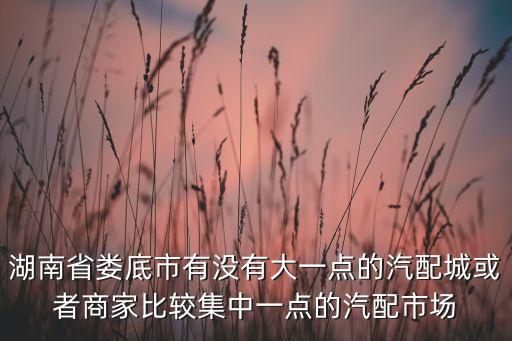 湖南省娄底市有没有大一点的汽配城或者商家比较集中一点的汽配市场