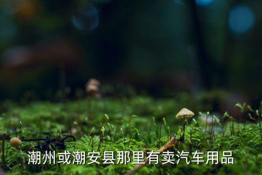 潮州或潮安县那里有卖汽车用品