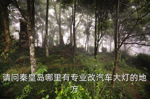 请问秦皇岛哪里有专业改汽车大灯的地方