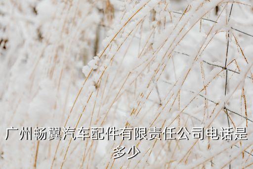 广州汽配改装车店地址电话，广州番禺哪里有汽车改装的