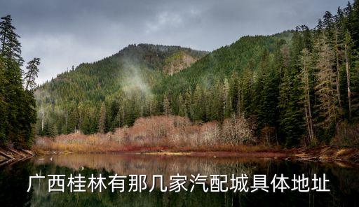 广西桂林有那几家汽配城具体地址