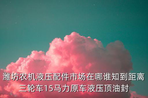 潍坊农机液压配件市场在哪谁知到距离三轮车15马力原车液压顶油封