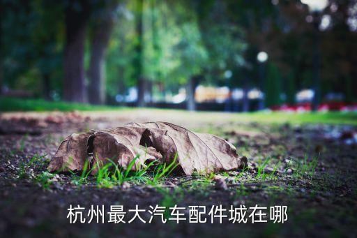 杭州最大汽车配件城在哪