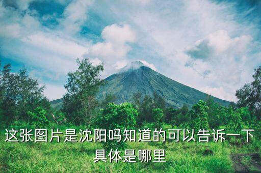 这张图片是沈阳吗知道的可以告诉一下具体是哪里