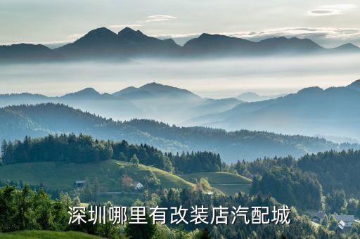 深圳哪里有改装店汽配城