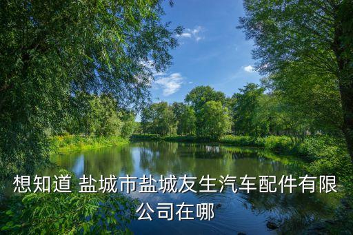 想知道 盐城市盐城友生汽车配件有限公司在哪