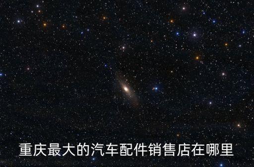重庆最大的汽车配件销售店在哪里