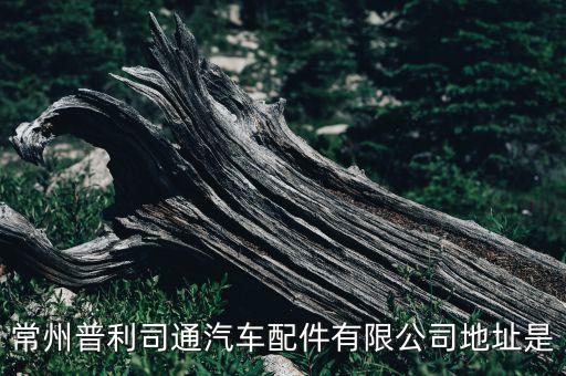 常州普利司通汽车配件有限公司地址是