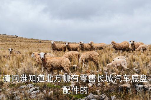 请问谁知道北方哪有零售长城汽车底盘配件的