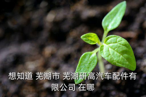 想知道 芜湖市 芜湖研高汽车配件有限公司 在哪