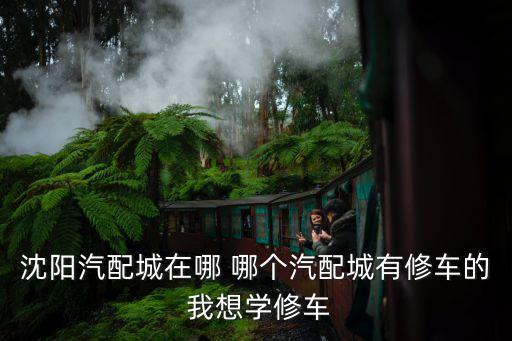 沈阳汽配城在哪 哪个汽配城有修车的 我想学修车