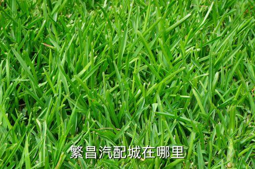 繁昌汽配城在哪里