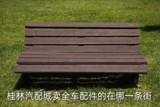 桂林汽配城卖全车配件的在哪一条街