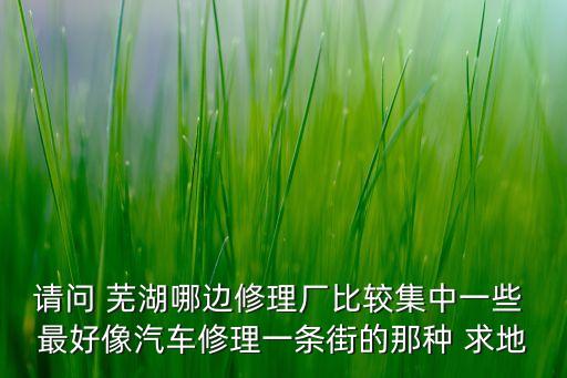 请问 芜湖哪边修理厂比较集中一些 最好像汽车修理一条街的那种 求地