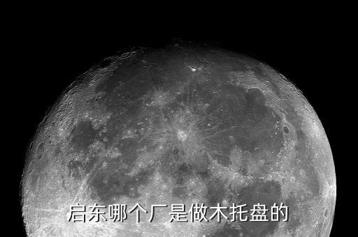 启东哪个厂是做木托盘的