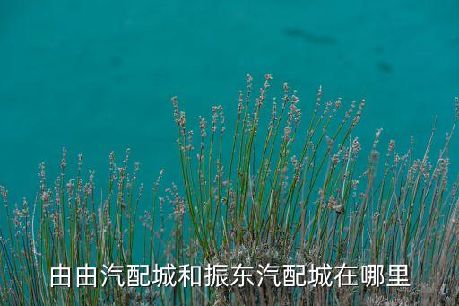 振东汽配城地址在哪里，上海有哪几个汽车配件市场