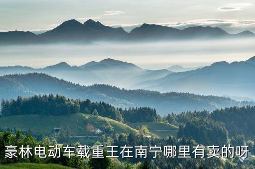 豪林电动车载重王在南宁哪里有卖的呀