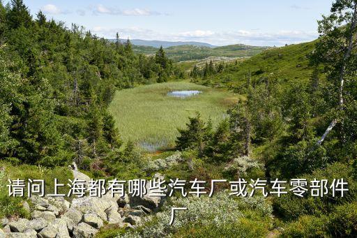 请问上海都有哪些汽车厂或汽车零部件厂