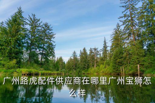 广州路虎配件供应商在哪里广州宝狮怎么样