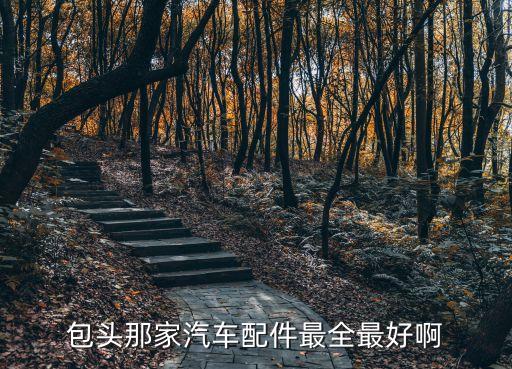 包头那家汽车配件最全最好啊
