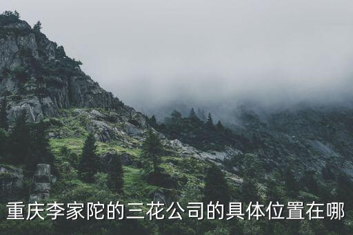 重庆李家陀的三花公司的具体位置在哪