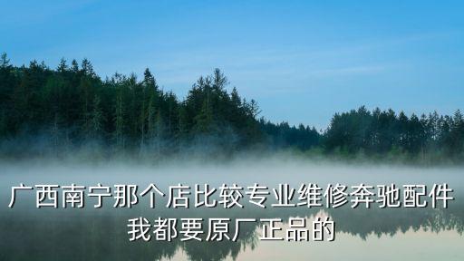南宁奔驰汽配，广西南宁那个店比较专业维修奔驰配件我都要原厂正品的