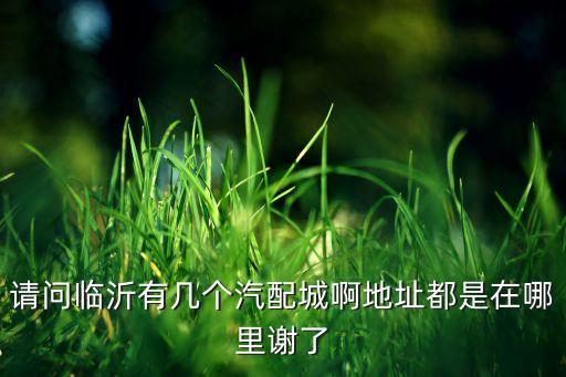 请问临沂有几个汽配城啊地址都是在哪里谢了