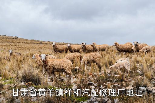 甘肃省黄羊镇祥和汽配修理厂地址